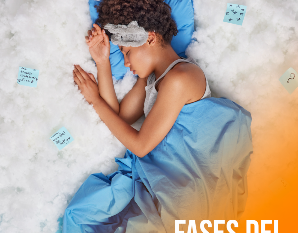Fases del sueño