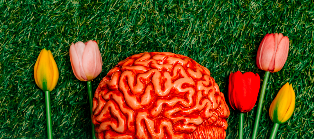 LA PRIMAVERA Y LA SALUD MENTAL