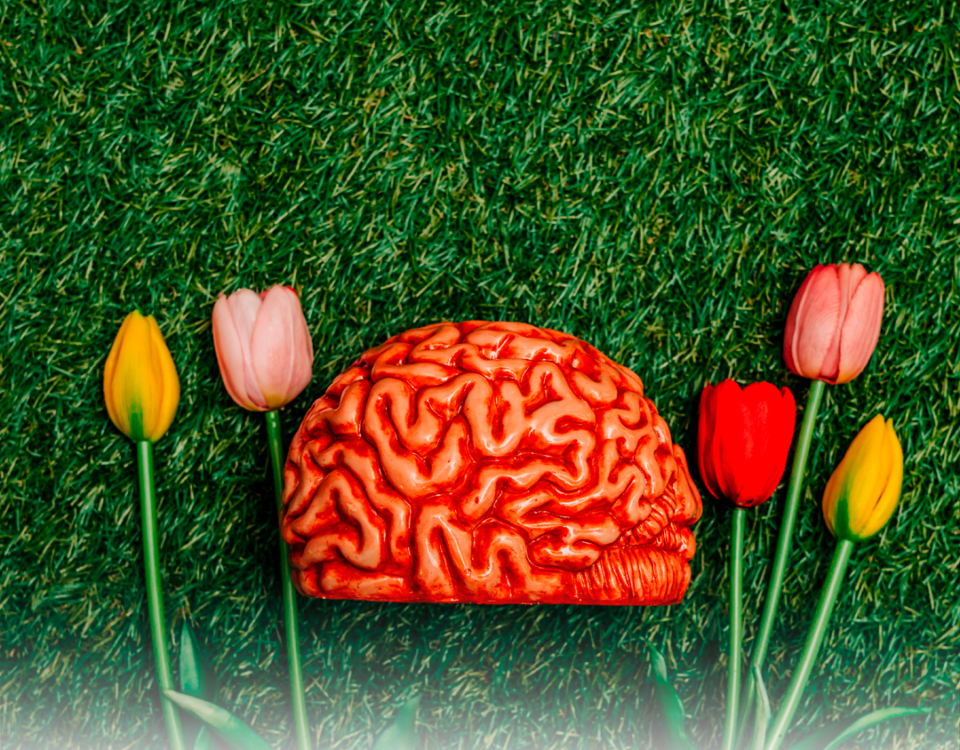 LA PRIMAVERA Y LA SALUD MENTAL